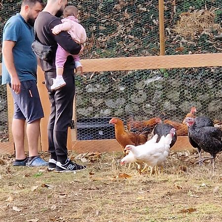 Gite Le Coutelier Asperjoc Kültér fotó